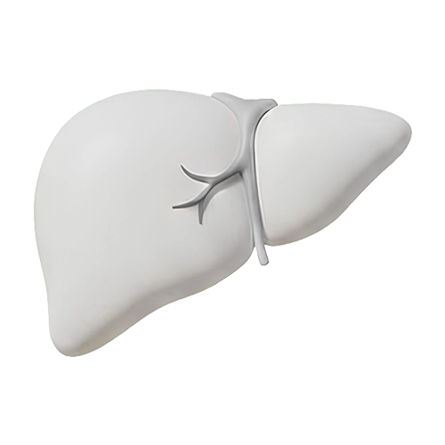 Liver Health and Pancreatic Profile image