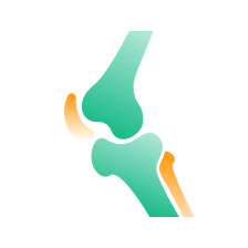 Find Bone related products