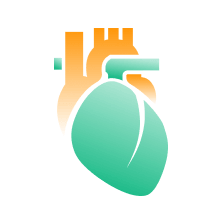 Find Heart related products