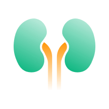 Find Kidney related products