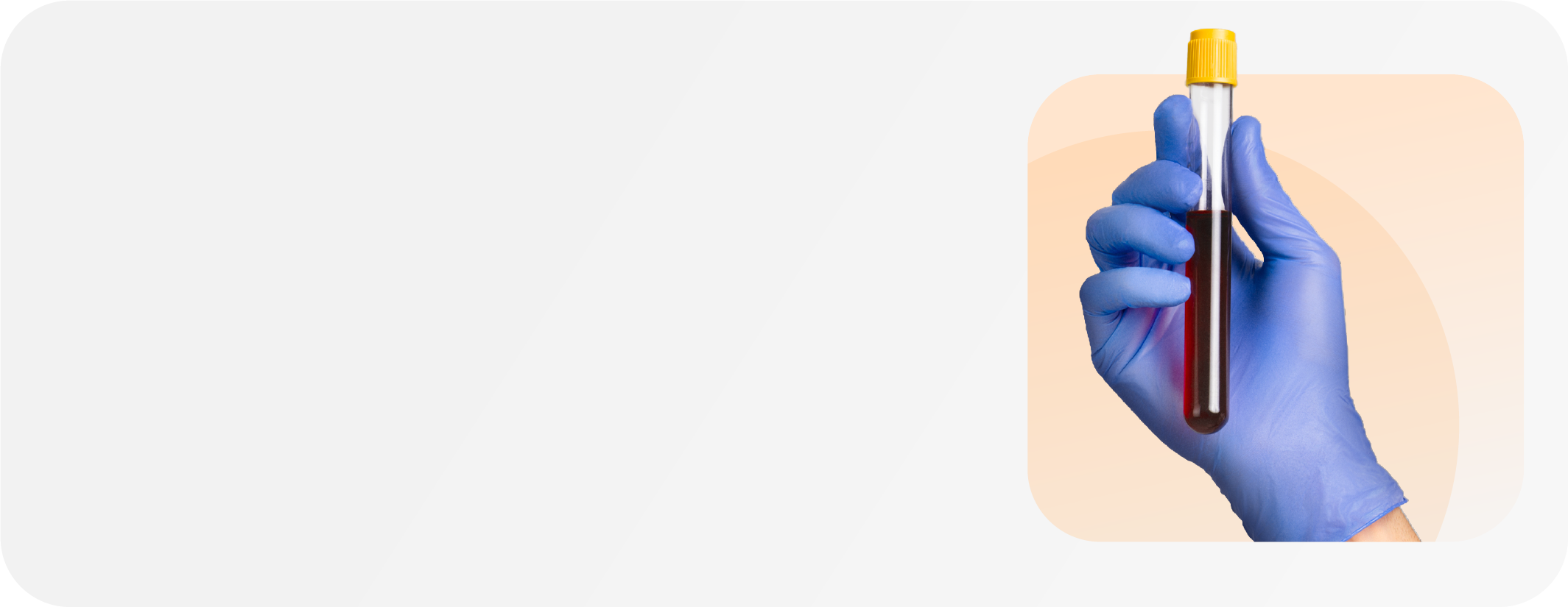 hero section banner