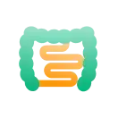 Find Gut Health related products