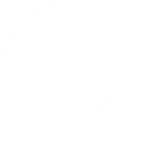 Orange Health